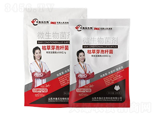 �ݲ�ѿ�ߗU��-ľ�~(y��)ʯ