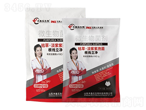 �ݲݡ��������߾�-ľ�~(y��)ʯ