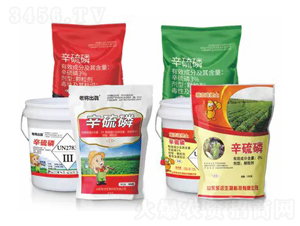 3%�������w����-�ό����T+�͑��@����-�|�h(yu��n)����