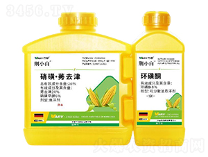 26%���ǡ�ݬȥ��-�GС��-�f(w��n)��