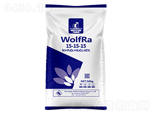 ������͏�(f��)�Ϸ���15-15-15-����