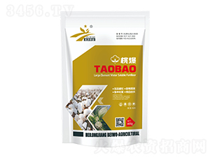 �ұ�-�����r(n��ng)�I(y��)