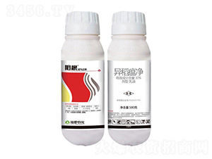 30%������������-��n-�Ұ�r(n��ng)��