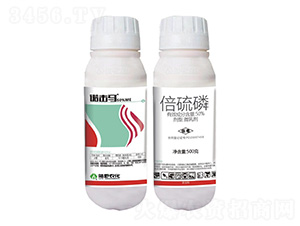 50%������΢�鄩-�Z���R-�Ұ�r(n��ng)��