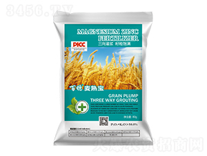 ������?zh��n)�?�����r(n��ng)�I(y��)