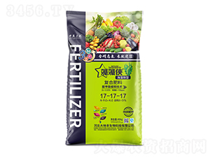 �����\�͏�(f��)�Ϸ���17-17-17-����b-����S