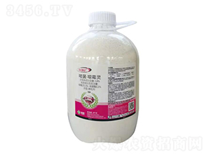 0.4%�׾����fù�`�w����-�����o(ȫˮ��)-���՘�