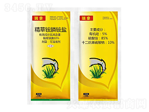 10%�����@��@�}-����-�t̫�(y��ng)