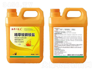 10%�����@��@�}5����-�Y��һ�ѻ�-�t̫�(y��ng)