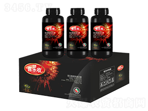 ����øֲ�Ｄ����-�t̫�