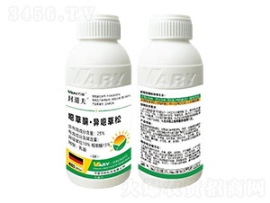 25%�f��ͪ�����f����-�����-�f��