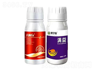 �W��t+�M��-�ÌW(xu��)��