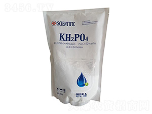 ��������-�ÌW(xu��)��