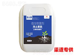 �������������ޏ�(f��)����-�۟o(w��)��