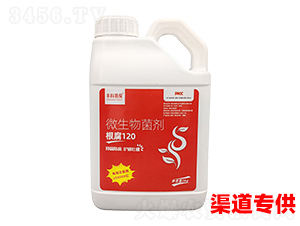 ����120΢�������-�S���ױ�-�۟o(w��)��