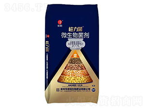 ������΢�������-���(y��ng)