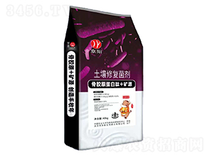 �����ޏ�(f��)����-���(y��ng)