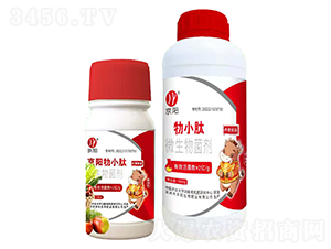 ��С��΢�������-���