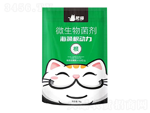 ΢�������-�������(d��ng)��-��؈