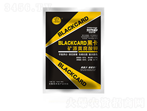 �ڿ��VԴ�S�����-�Z������