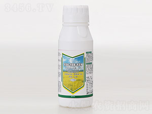 48%���ݰ������fͪ�����݃�-ˮ?d��ng)?�L�p�r(n��ng)ˎ