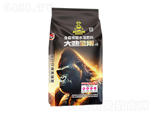 ����ֲ��ˮ�ܷ���-��Ž���I��-����