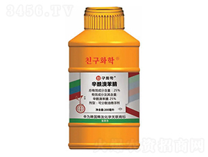 ��������݄��������屽�棩-����-�n�ѻ��W