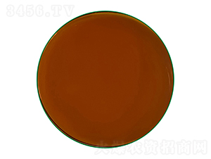 ��(f��)�ϰ�����Һ-�ͺ���-�г�����