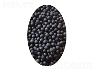 �S����΢����������{�w��-�����ַʘI(y��)