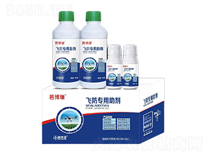 �w����������-�Ų���-���ׁ�