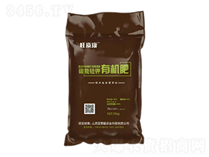 ̼�ܹ���ЙC(j��)��-���|(zh��)��-�V��ͨ