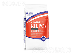 ��������-��ɭԪ