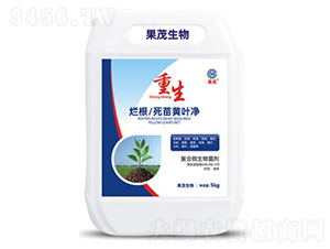 ����-��ï����