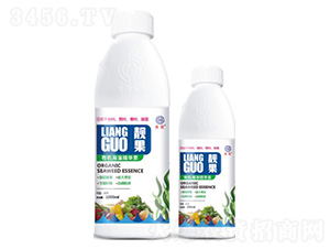 �ЙC(j��)���徫�A��-�n��-��ï���� 