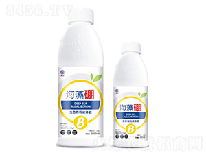 ������-��ï����