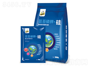 �|̦��⛹�-��˹��