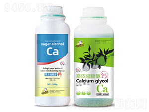 �ߝ�s�Ǵ��}-��˹��