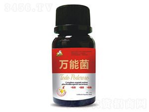 ��-��˹��