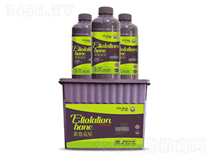 �S������-�۶�����