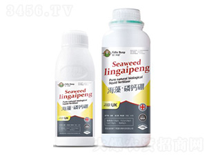 ���塤���}��-��(��i)������