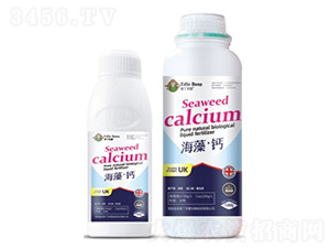 ���塤�}-��(��i)������