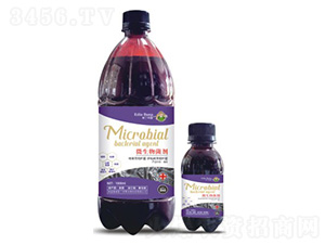 ΢�������-�۶�����