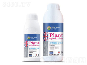 ֲ�：(x��)��������-�۶����� 