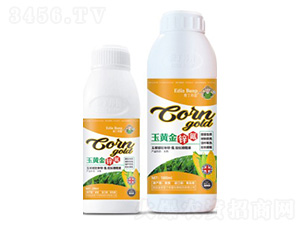 ���S���\��-��(��i)������