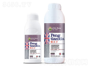 ������-�۶�����