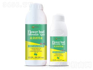 ��ѿ�T��(d��o)��-�۶�����