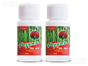 ����һ����-��(��i)������