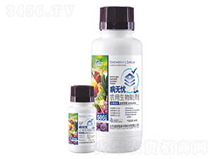 ���o�n-�r����������-ʢ��¡��