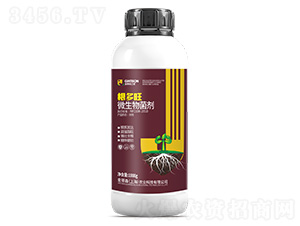 ������-΢�������-���ɭ