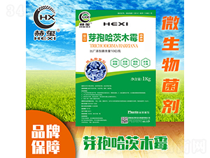 ѿ�߹���ľù-�խt